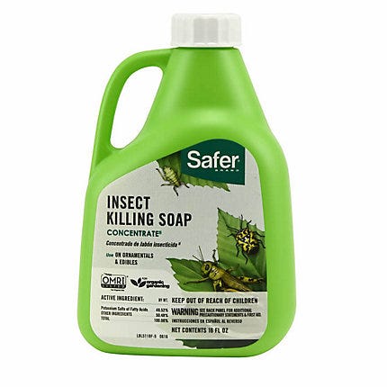 Insect killing soap
