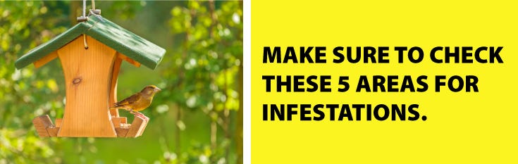 Five Areas of Infestation