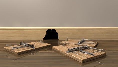 best place to put rat trap best place to put rat trap