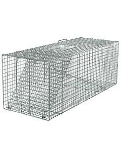 Havahart® X-Large 1-Door Animal Trap, 1 or 2-Pack