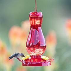 Perky-Pet® Ruby Red Plastic Hummingbird Feeder - 19 oz, LIfestyle