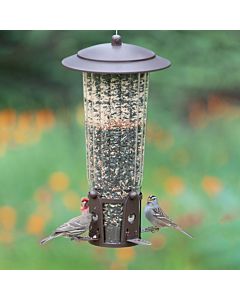 Perky-Pet® Squirrel-Be-Gone Max Bird Feeder with Flexports® - 4 Lb, LIfestyle 2