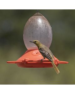 Perky-Pet® Plastic Oriole Feeder, Lifestyle
