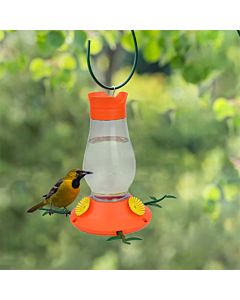 Perky-Pet® Vine Oriole Feeder, Lifestyle