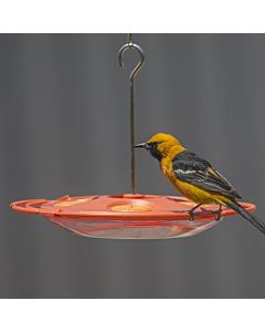 Perky-Pet® Tray Oriole Feeder, Lifestyle