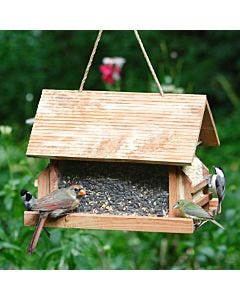 Perky-Pet® The Lodge Wild Bird Feeder