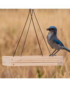 Perky-Pet&reg; Hanging Tray Bird Feeder, Lifestyle 2