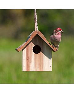 Perky-Pet&reg; Wren Home 