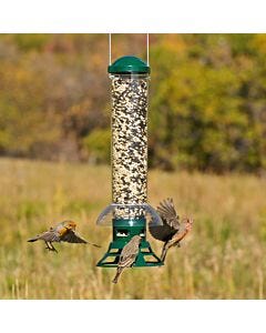 Perky-Pet® Squirrel Slammer Wild Bird Feeder