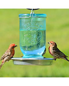 Perky-Pet&reg; Mason Jar Wild Bird Waterer, Lifestyle