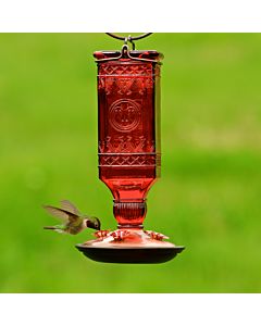 Perky-Pet® Red Square Antique Bottle Glass Hummingbird Feeder