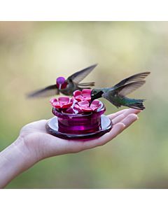 Perky-Pet® Handheld & Tabletop Hummingbird Feeder, 3 Pack