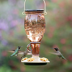 Perky-Pet® Sugar Maple Top-Fill Glass Hummingbird Feeder