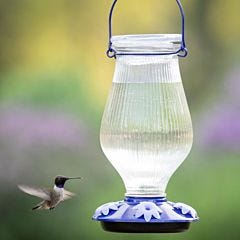 Perky-Pet® Grand Oasis Top-Fill Glass Hummingbird Feeder, Lifestyle 1