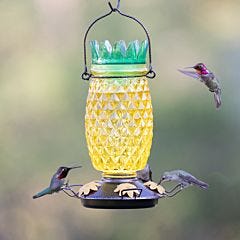 Woodstream/victor 205 3 Perch Hummingbird Feeder