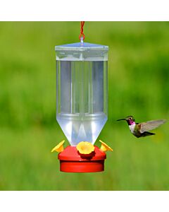 Perky-Pet® Lantern Hummingbird Feeder, Lifestyle