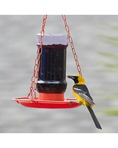 Perky-Pet® Oriole Jelly Feeder
