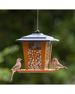Perky-Pet® Sun and Star Lantern Bird Feeder - birds at feeder