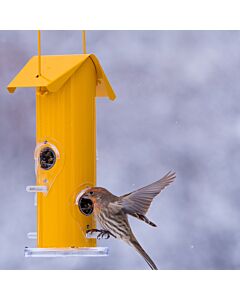 Perky-Pet® Yellow Metal Tube Bird Feeder