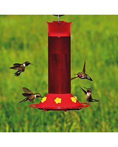 Perky-Pet&reg; Hummer's Favorite Hummingbird Feeder