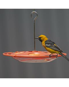 Perky-Pet® Tray Oriole Feeder, Lifestyle