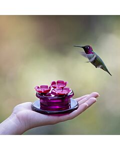 Perky-Pet® Handheld & Tabletop Hummingbird Feeder with Bird landing