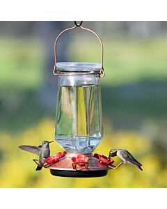  Perky-Pet® Crystal Top-Fill Glass Hummingbird Feeder - 28 oz