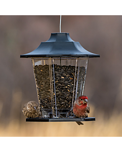 Perky-Pet® Carriage Bird Feeder- Black Lifestyle