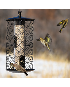 Perky-Pet® The Preserve Wild Bird Feeder, lifestyle 3