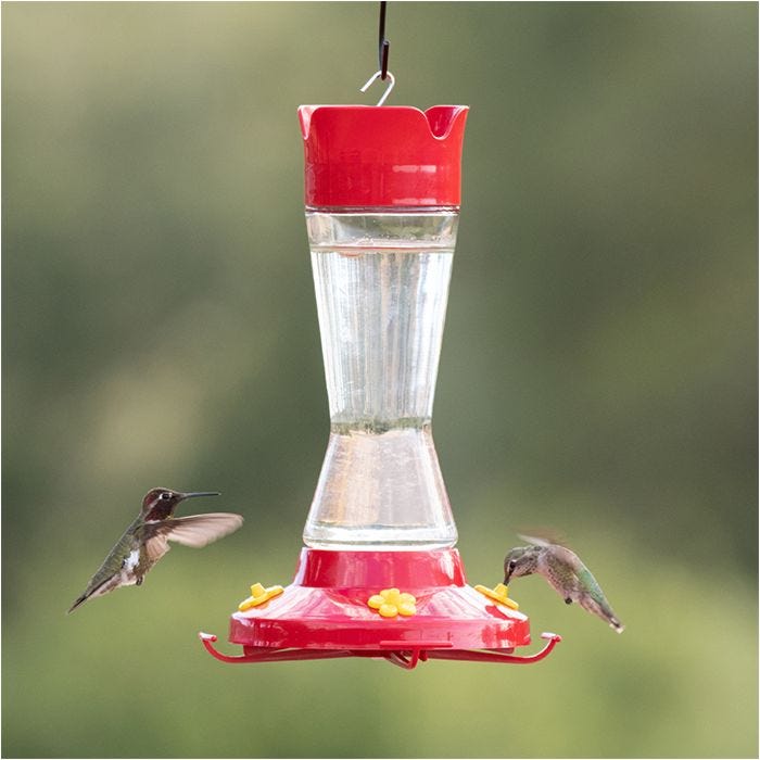 PERKY-PET Pinch-Waist, mangeoire à colibri en verre – MEUNERIE DALPHOND