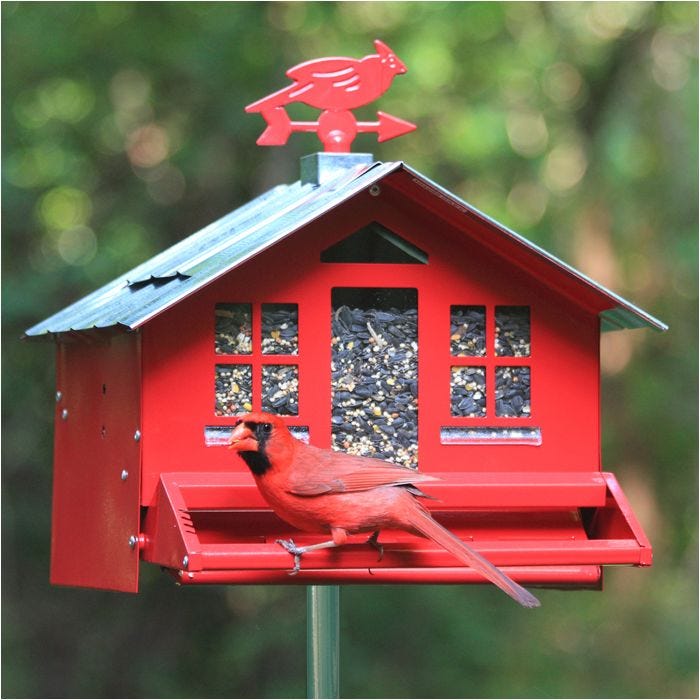 Nest pet best sale feeder
