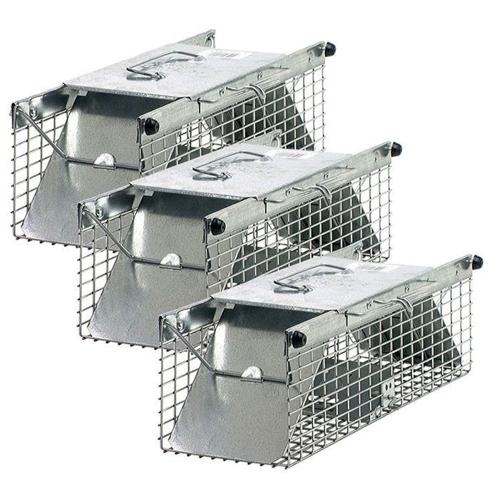 Havahart squirrel shop trap