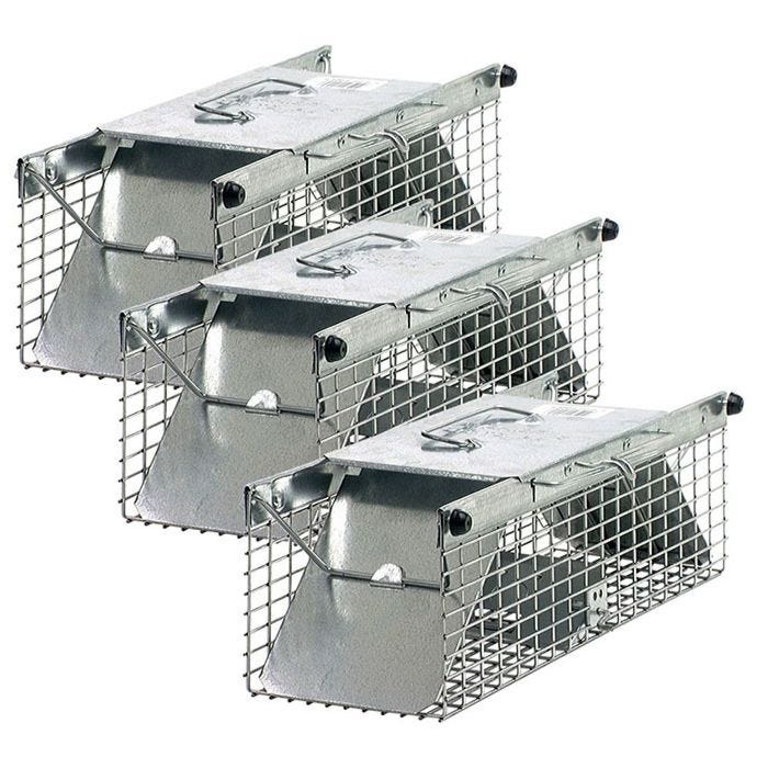 Havahart 1025 Small 2-Door Humane Catch and Release Live Animal Trap for  Squirrels, Chipmunks, Rats, Weasels, and Small Animals