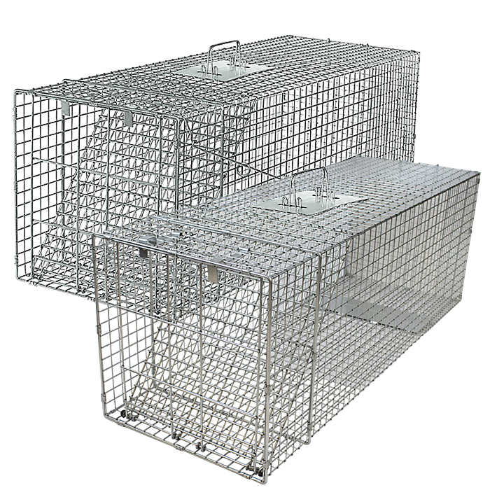 Extra Large 1-Door Professional Trap 2-Pack Extra Large 1-Door Professional Trap 2-Pack