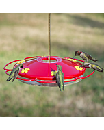 Perky-Pet® Oasis Hummingbird Feeder, Lifestyle