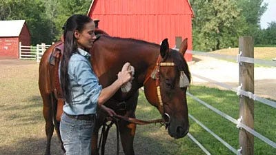 What Are the Best Horse Fencing Options