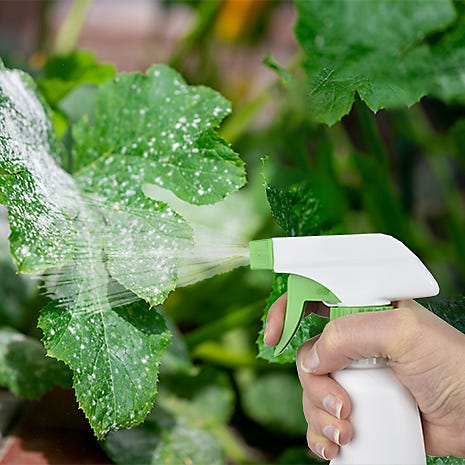 How to Use Garden Spray