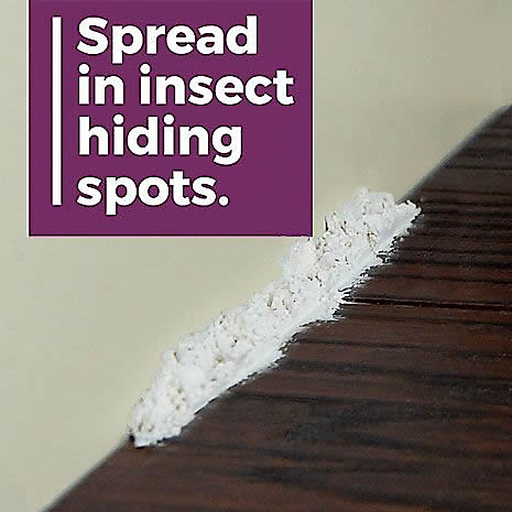 How to use Safer's Bed Bug and Flea Killer