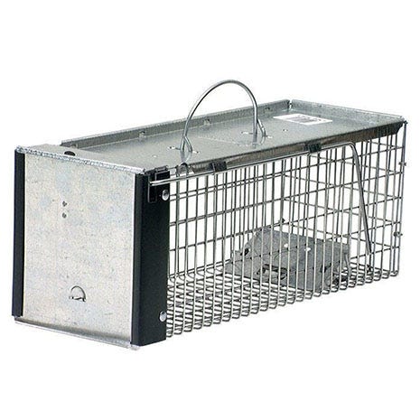 Havahart X-Small 1-Door Trap