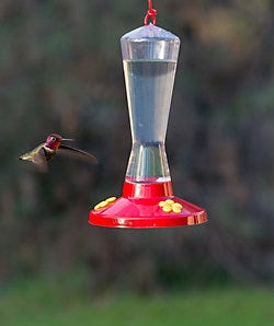 Perky-Pet<sup>®</sup> Clear Plastic Hummingbird Feeder Perky-Pet<sup>®</sup> Clear Plastic Hummingbird Feeder