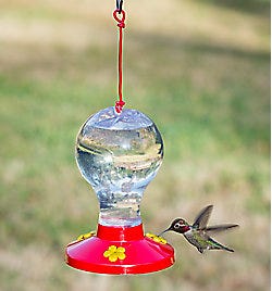 Perky-Pet Globe Hummingbird Feeder Perky-Pet Globe Hummingbird Feeder