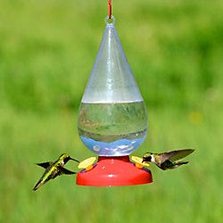 Perky-Pet<sup>®</sup> Dew Drop Hummingbird Feeder Perky-Pet<sup>®</sup> Dew Drop Hummingbird Feeder