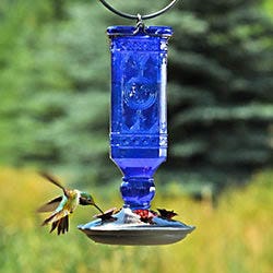 Perky-Pet® Cobalt Blue Antique Bottle Glass Hummingbird Feeder Perky-Pet® Cobalt Blue Antique Bottle Glass Hummingbird Feeder