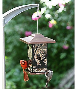 Perky-Pet Wilderness Lantern Wild Bird Feeder