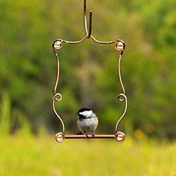 Perky Pet Beaded Copper Hummingbird Swing