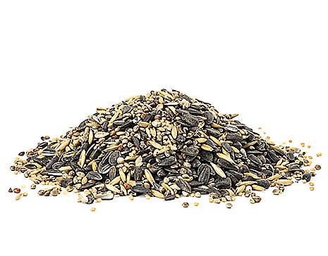Evenseed Silo Feeder 112