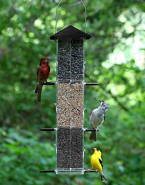 Evenseed Silo Feeder 112