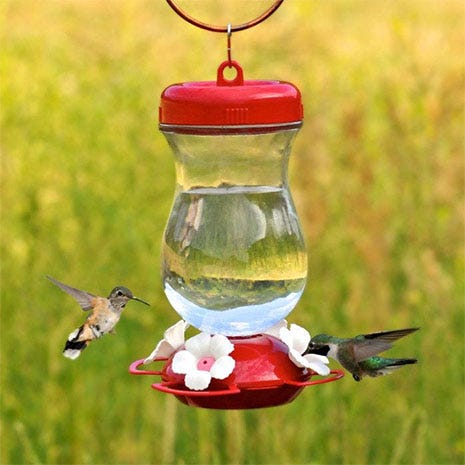 24 oz top fill hummingbird feeder