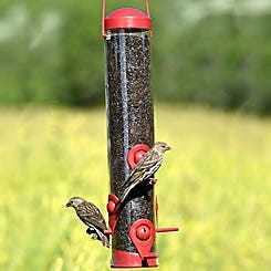 Perky-Pet Red 2-in-1 Tube Bird Feeder Perky-Pet Red 2-in-1 Tube Bird Feeder