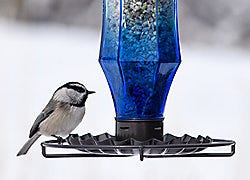 Perky-Pet Sapphire Starburst Vintage Wild Bird Feeder Perky-Pet Sapphire Starburst Vintage Wild Bird Feeder
